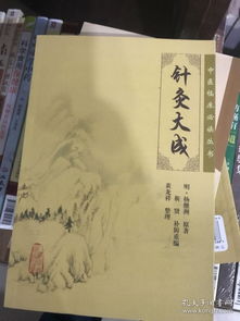 针灸大成
