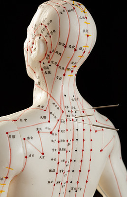 针灸穴位专题模板-针灸穴位