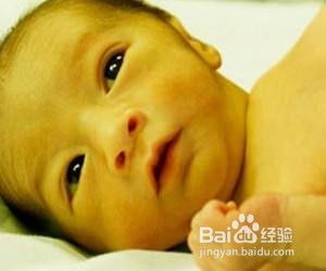 养生实用手册9 针灸篇