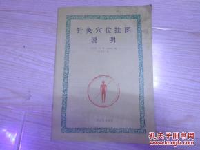 针灸穴位挂图说明