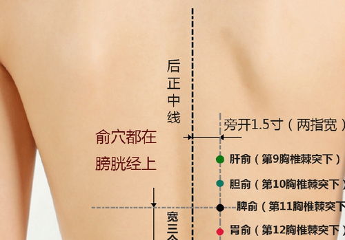 气血不足,提前衰老,补养气血这3个方法都很实用