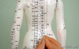 中医针灸常用穴功效表,每个穴的用处,一看就明白