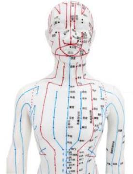 针灸特别管用吗 为何有中医执业证书才能针灸呢