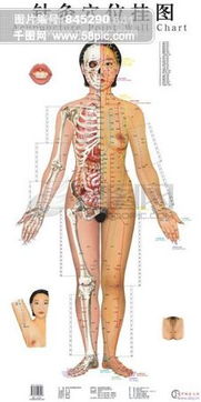 道教挂图图片图片素材免费下载 格式 jpg 图片编号 15506766 千图网