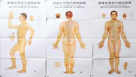 智诚浩宇中医图书音像最新上架——针灸文献的宝库