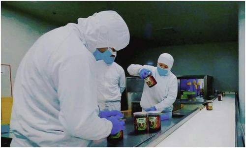 叮咚买菜江苏盱眙工厂获欧美零售巨头食品安全通行证，彰显国际化品质