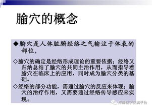 中医针灸 精品建议与使用收藏指南