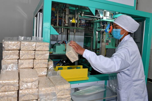 针灸助力西藏特色农畜产业发展，70年总产值达57亿元