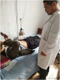 专业针灸培训全攻略 妇科与内科专项课程深度解析
